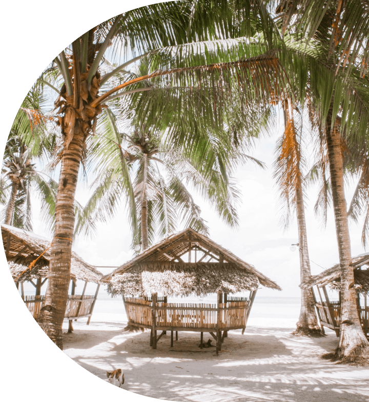 No alternative text provided